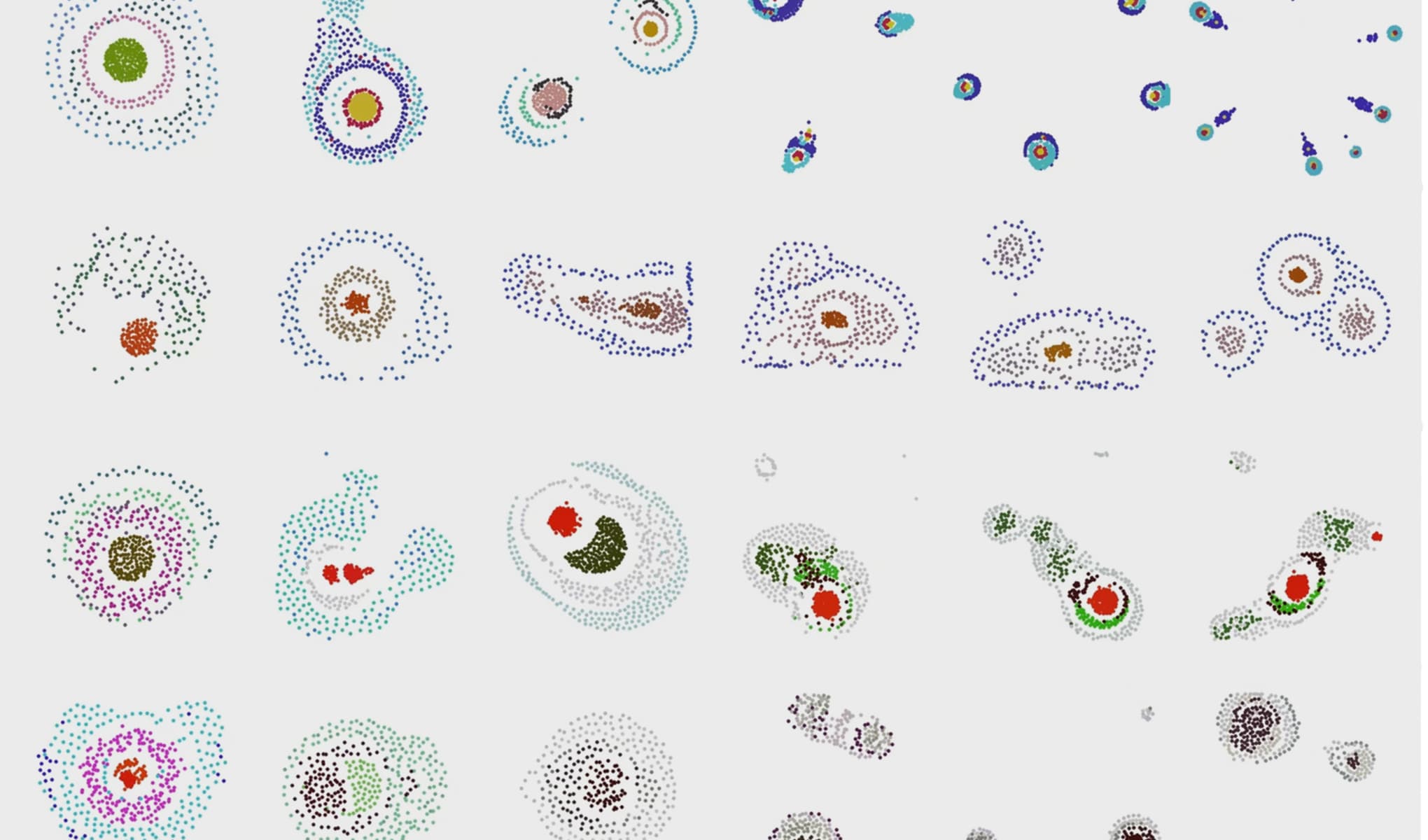 Evolutionary pathways of digital lifeforms and ecological states in a digital life system.