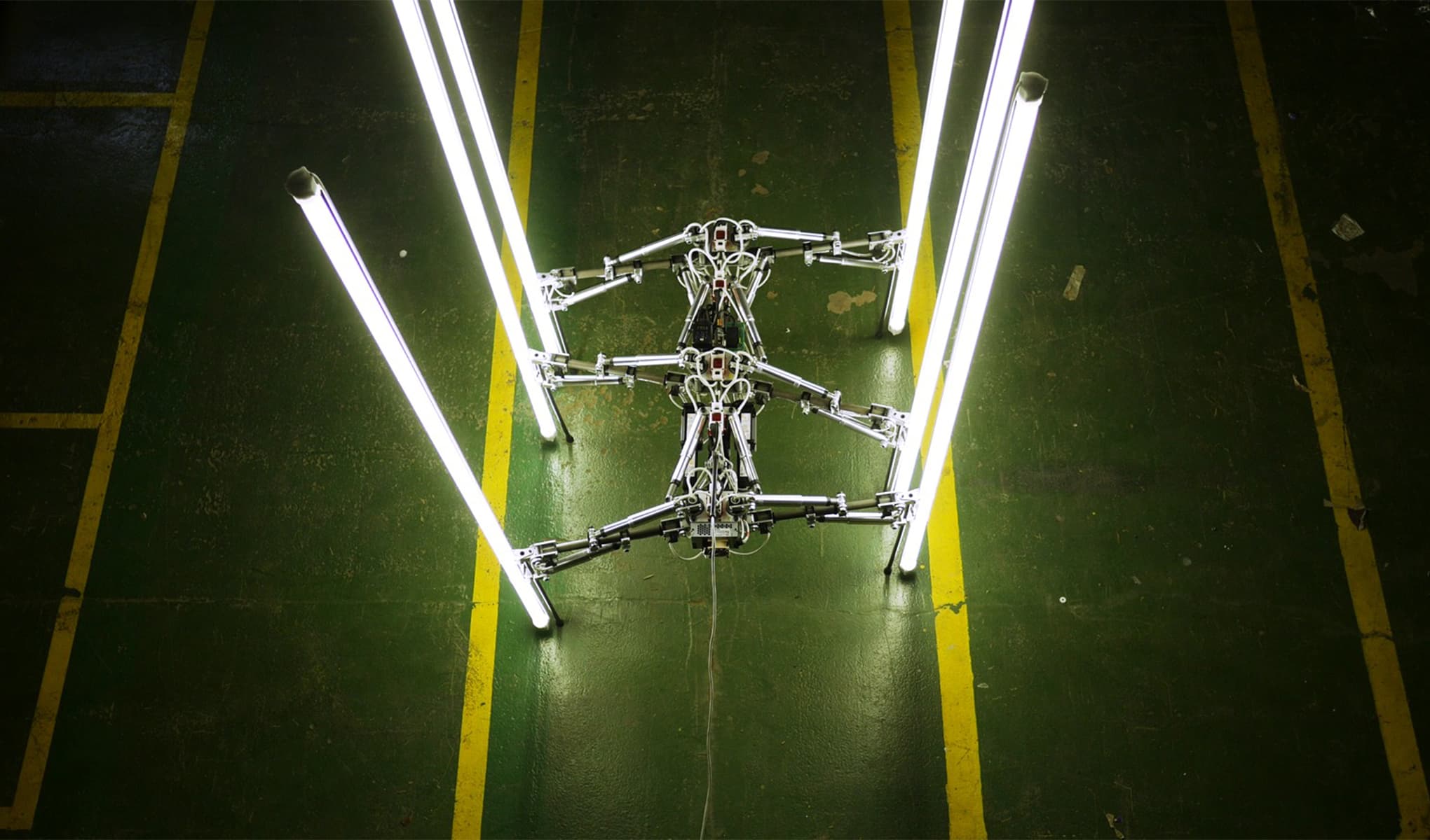 Cryptid project thumbnail.