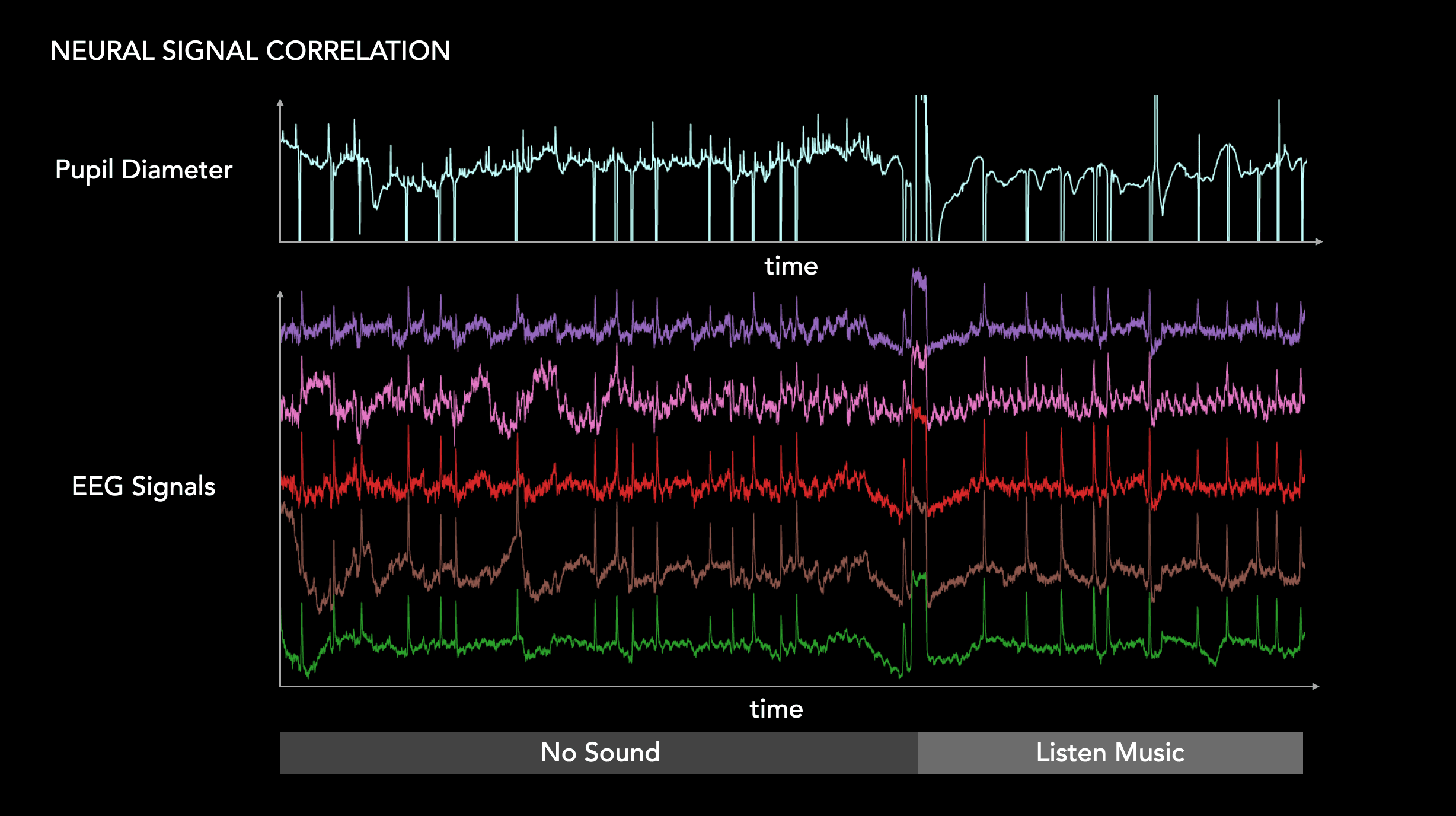 Signal correlation between pupil diameter and EEG signal.
