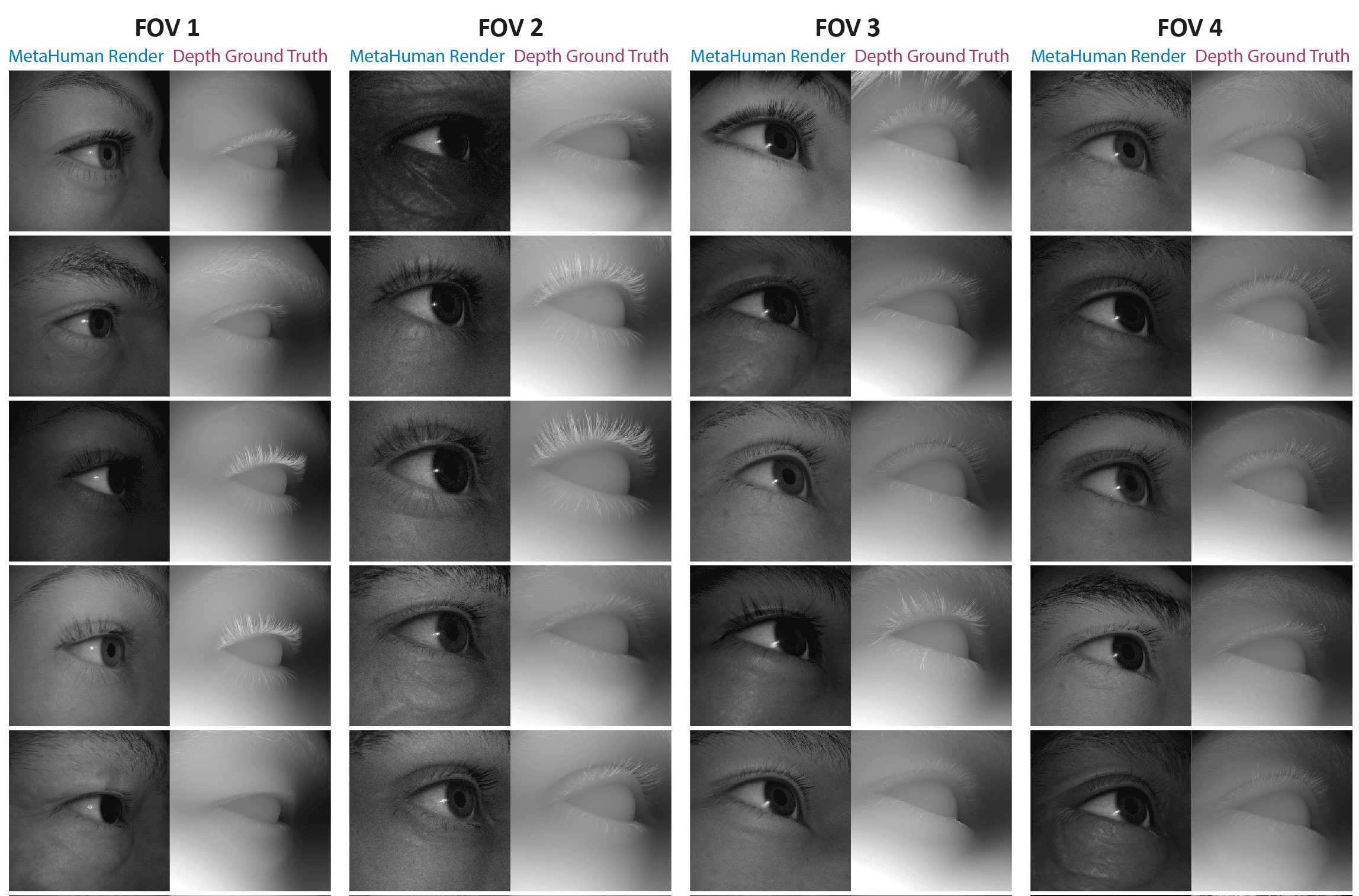 Examples of synthetic periocular MetaHuman renders and paired depth ground truth across four fields of view.